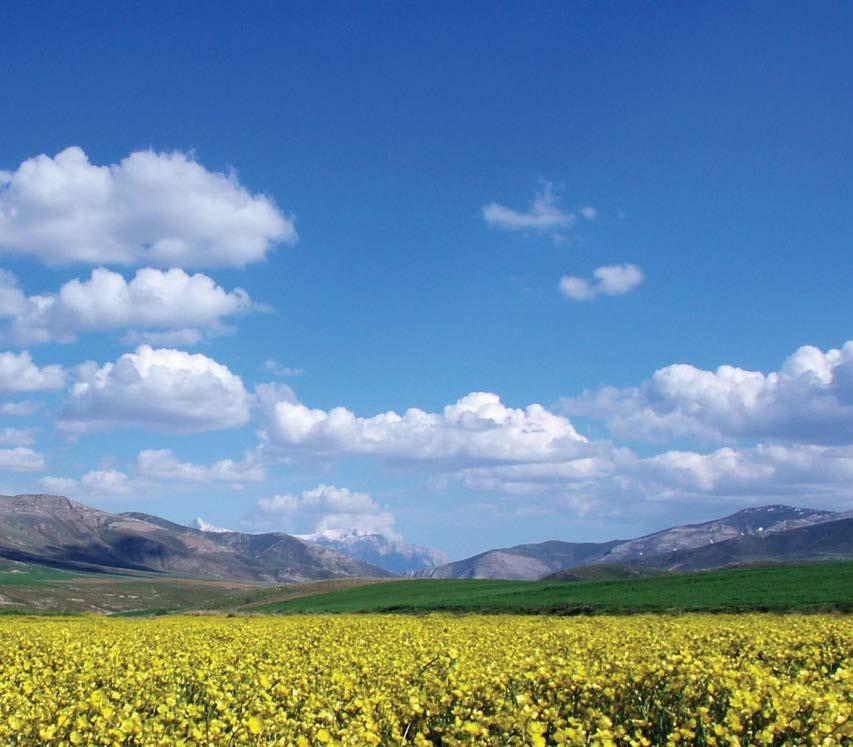 96 Üçkapılı Dağı Yaylası Plateou of Mountain with three - doors YAYLA TURİZMİ: Ülkemizde son yıllarda çevre kirliliği ve denizlerin kalabalıklaşıp, kirlenmesi sonucu daha bakir olan alanlar, turizm