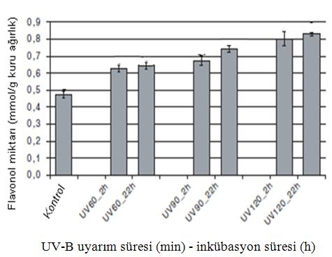 miktarındaki değişim (Huyskens-Keil 2007) 8 UV-B