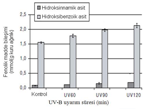 Şekil 2.9 UV-B uyarımı ile siyah kuş üzümünün fenolik madde bileşimindeki değişim (Huyskens-Keil 2007) Şekillerden görüldüğü gibi, UV uyarımı ile genelde fenolik bileşik miktarında artış olmaktadır.