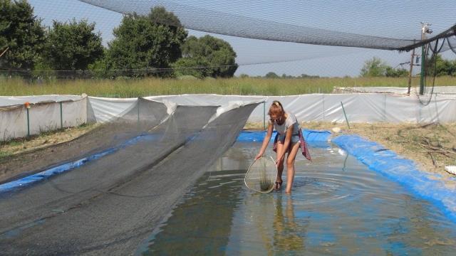 ödüllü girişimci Sinem Güçlü 2013 yılında Kundu da Aksu Çayı nın