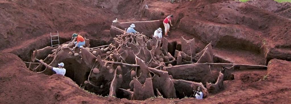 KARINCA KOLONİSİ (Ant Colony) Merkezde Bulunduğu Yer: Hayat (Life) standında bulunmaktadır.