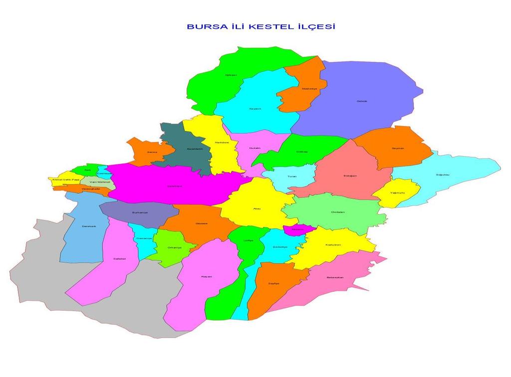 Kestel, Bursa merkezinde Osmangazi, Yıldırım, Nilüfer, Gemlik Gürsu, Mudanya ile birlikte 7 merkez ilçe olarak Bursa Büyükşehir Belediyesini oluşturmaktadır.