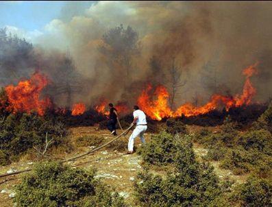 28 Temmuz 2011 Perşembe - 18:03 - Star Gazetesi haberine göre Türkiye'nin ciğerleri yanıyor Manisa'nın Salihli