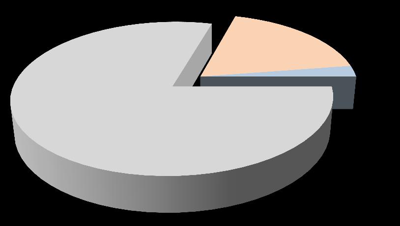 Gelir Dağılımı (2014) Segment Bazında Gelir Dağılımı Yolcu 88%