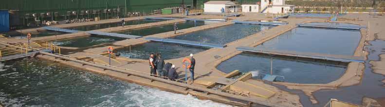 Atık Su Yönetimi ve Su Kalitesinin İzlenmesi Çelik üretiminde kullandığımız suların tamamını arıttıktan sonra geri kazanıyor ve tekrar kullanıyoruz.