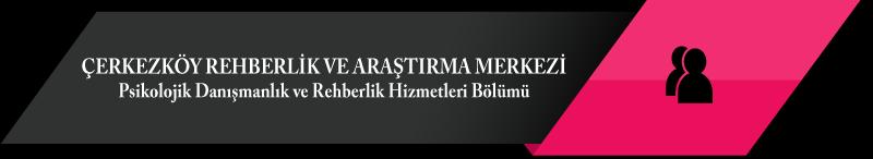 Sadece çocuk için değil, ailesinin bilgilendirilmesi sürecini de kapsayan bu tedbir kararı, ailenin bütünlüğüne yönelik bir uygulama olarak da anlaşılabilir.