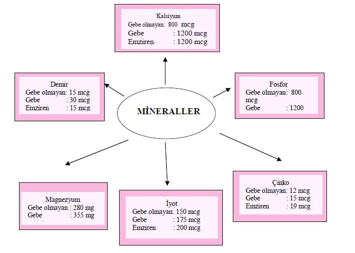 Gebelikte ve Emziklilikte