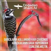 Doğadan İlham Alın Girişim Fikrini Doğadan Esinlen.