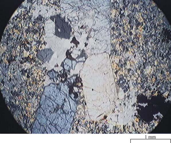 34 4.1.2. Trakitin Mineralojik Bulguları Kayaç başlıca sanidin ve amfibol (hornblend) lerden oluşmaktadır. Sanidinler özşekilli yarı özşekilli kristaller şeklinde olup dikdörtgen şekillidirler.