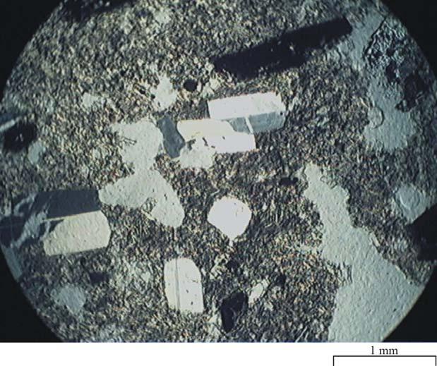 35 göstermiştir. Plajioklaslar aynı zamanda kayaçta mikrolitler şeklinde de bulunurlar ve belli bir akma yapısı gösterirler.