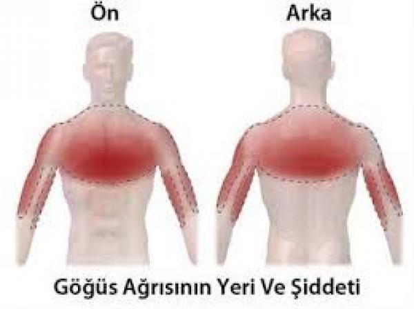 GÖĞÜS VE SIRT AĞRISI- NEDENLERİ Sıklıkla anjina pektoris!