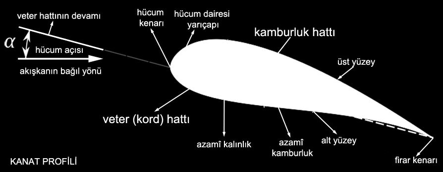 Şekil: Enine Kesit Alınmış Kanat Profili 4.2.