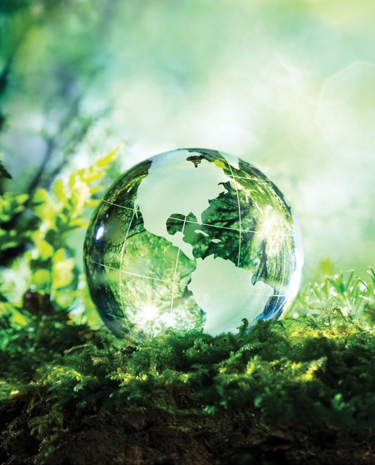 Dünya Çevre Günü World Environment Day Mercedes-Benz Türk bireyleri olarak, dünyanın başka bir yerinde görülmeyen, ekolojik bir ortama sahip olan ülkemizde, çevre kalitesini artırmak; havasıyla,