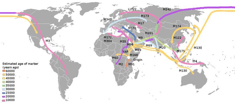 İnsan Tarihi Homo Sapiens Sapiens 2.5 milyon yıl önce Homo Habilis 1.