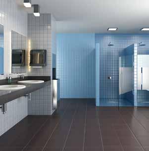 PRO Color Floor and Wall Tile PRO Color Duvar ve Yer Karosu A small bathroom or a giant healthcare area project.