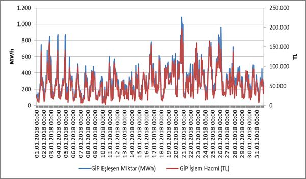 Miktarlarının Şirket Bazında Dağılımı ve İlk 10 Şirketin