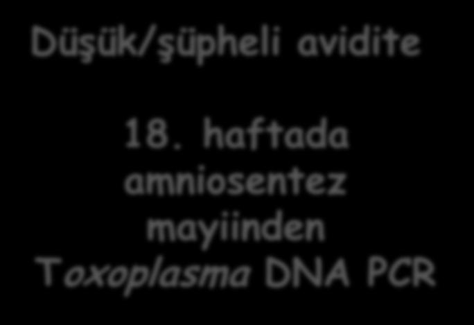 3x1 gr (3 mü) tok Düşük/şüpheli avidite İki