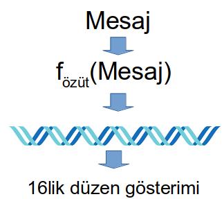 Bilmece ne olsun Özütler tahmin edilemiyor Özütlerin başındaki 0 lar Bu 0 ları