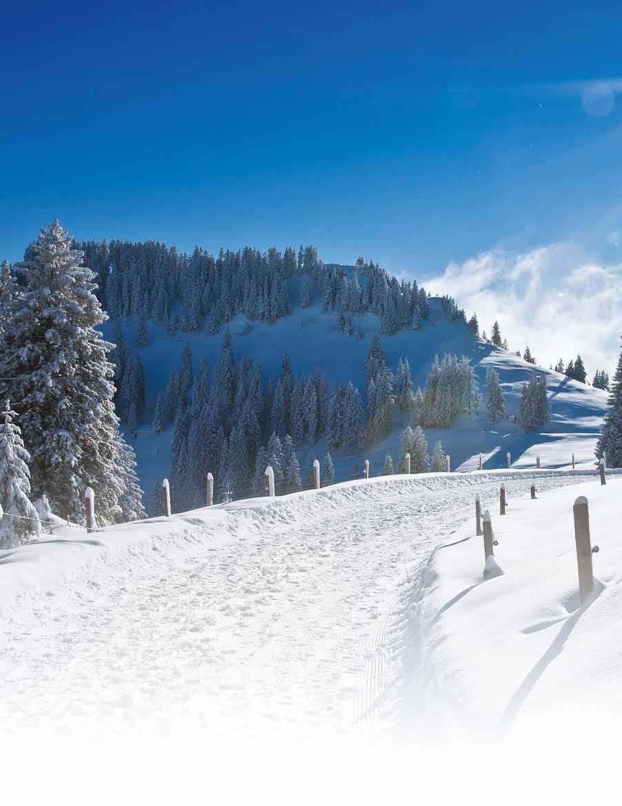 MERDİVEN TİPİ SERME SERİ LADDER-TYPE SNOW CHAINS Kar Zinciri Snow Chain Ticari ve Hafif Ticari Grubu