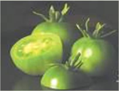 Hıyar, lahana ve biber dışında başka sebze ve meyvelerin ham halleri de turşu üretiminde kullanılabilmektedir. Bunların başında yeşil domates ve patlıcan gelmektedir.