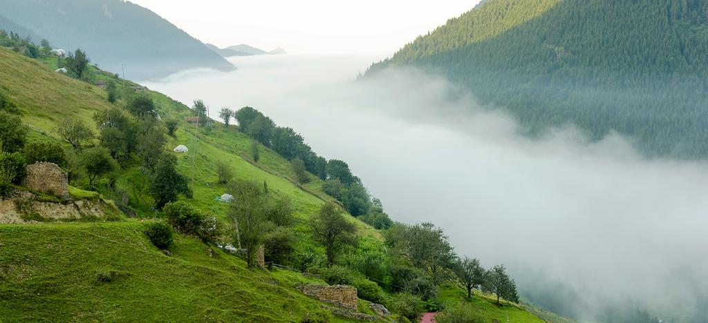 Karadeniz Doğası Alabildiğine yeşil, alabildiğine düzlük. Trabzon un birbirinden güzel yaylaları sizi ailenizle pikniklere, kamplara ve eğlencelere çağırıyor.