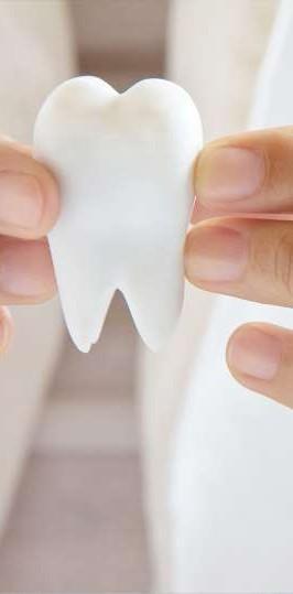 DOKTOR İŞLEMLERİ DİŞ BRANŞKARTI Ağız ve diş sağlığı hastalarının hesap dosyası, diş tedavisi ve diş tedavi planlamasının yapılması sağlanır.