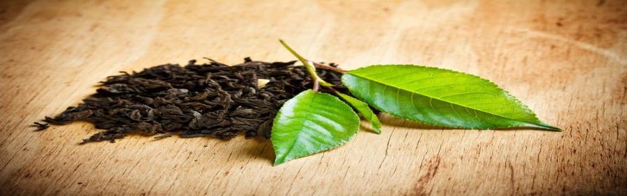Örnek Girişim çay bitkisini yetiştirmekte ve toptan olarak satmaktadır. a 01.