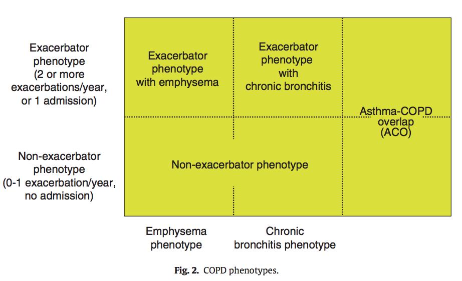 Spanish COPD Guidelines,