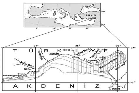 222 Yeldan ve diğ. / E.Ü.