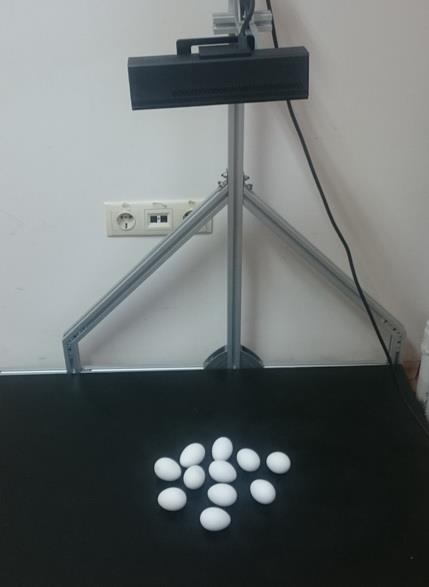 Şekil 1. Microsoft Kinect sensor ile görüntü alma sistemi.