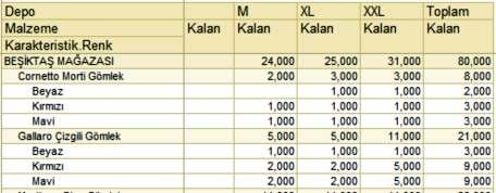 Kullanıcı, görev ayrıntılarına göre, raporlarda filtreleme, gruplama ve detaylama özelliklerini bizzat yönetebilir (ayarlayabilir).