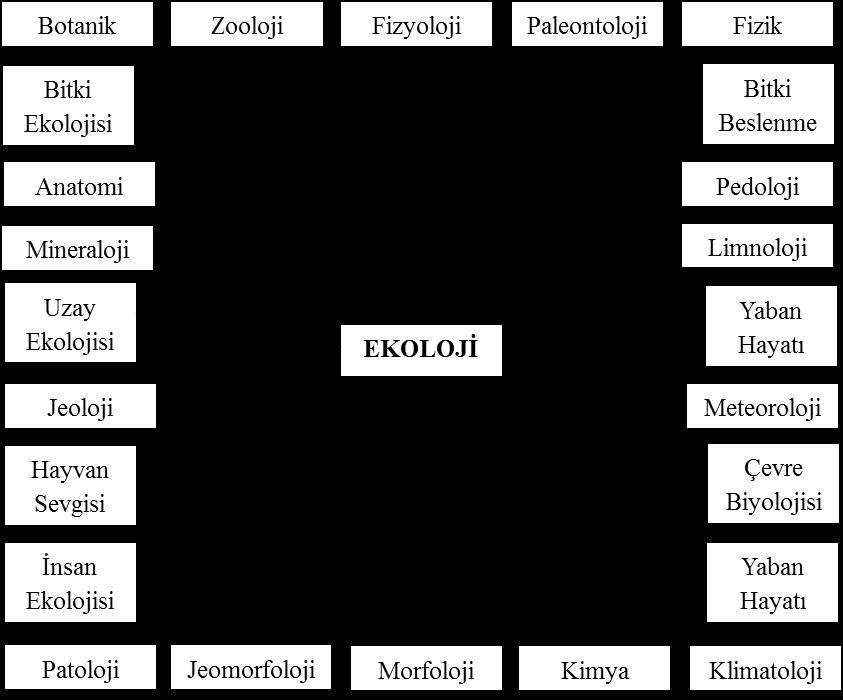 21 Ekosistemler bulundukları sistem ve sahip oldukları boyutlar farklı olsa bile bazı ortak özellikler sergilemektedirler (Aydın, 2010, s. 23). Ekosistemlerin sınırları sabit ve kesin değildir.