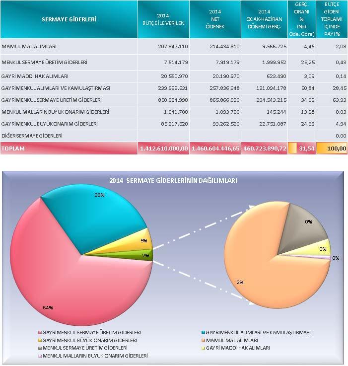 2013 mali yılının ilk altı ayında sermaye giderleri toplamının dağılımlarına baktığımız zaman mamul mal alımlarına 9 milyon 566 bin TL, menkul sermaye üretim giderlerine 1 milyon 999 bin TL, gayri