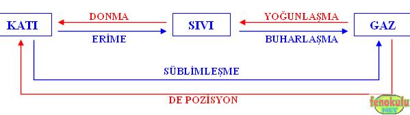 Madde hal değiştirdiğinde o maddeyi oluşturan taneciklerin sayısı ve büyüklüğü