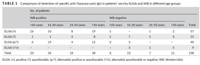 Toxocariosis serolojik tanısında genelde Toxocara larvalarının çıkartı-salgı antijenleri kullanılmakta Anti-Toxocara IgG antikorlarının