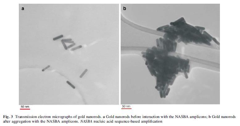 Cethyl trimethylammonium bromid ile kaplanmış altın nanopartiküller ile amplifiye olan RNA nın fosfat grupları arasında elektrostatik çekim sonucunda çökme gerçekleşmektedir.