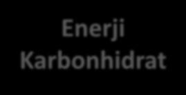 Tatlandırıcılar Enerji değeri olan tatlandırıcı Enerji değeri olmayan tatlandırıcı Enerji