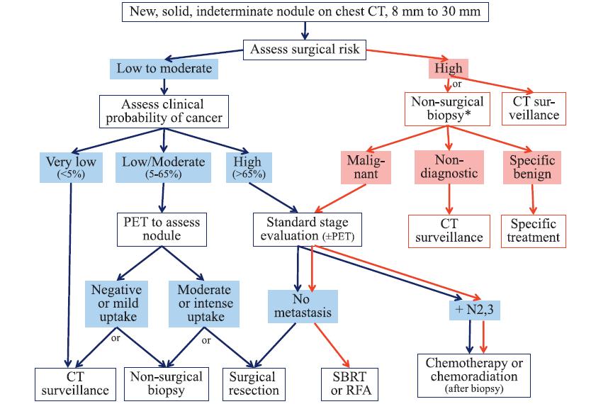 ACCP 2013 Gould MK et al.