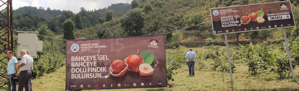 Hasat töreninde konuşan Trabzon Valisi Yücel Yavuz, fındık gibi her bakımdan yararlı olan ihraç ürününde böyle bir projenin uygulanarak, örnek olunmasını çok önemli bulduğunu belirterek, Herkes