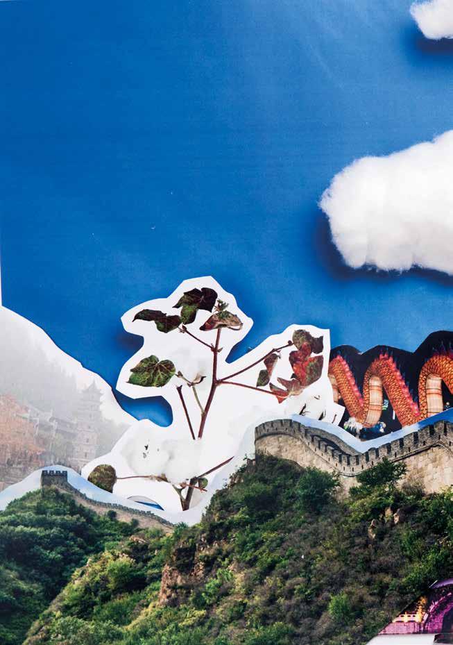 ÇALIK COTTON FAALİYET RAPORU 2015 ÇİN DE YENİ ATILIM En büyük pamuk alıcısı olan Çin in iki en büyük