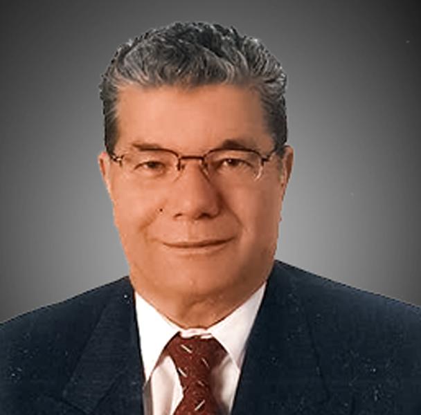 Özdemir Erol, iş hayatına 1960 yılında Samsun Liman İnşaatında Kontrol Mühendisliği olarak başlamıştır.