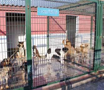 Başta Başakşehirliler olmak üzere hayvanseverlerin memnuniyet ve güvenini kazanan, çevre duyarlılığı ile başarılı çalışmalar yapan Başakşehir Belediyesi; 5199 sayılı hayvanları koruma kanunu ve