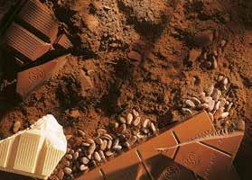 1996 Belçikalı çikolata üreticisi Callebaut ile Fransız Cacao Barry firması