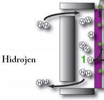 Yakıt Pili Çalışma Prensibi Katalizör 1) Bir hidrojen atomunun negatif