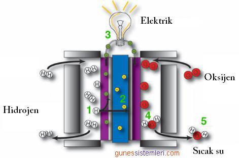 Yakıt Pili Çalışma Prensibi Bir yakıt hücresi, anot ve