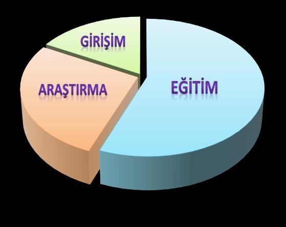 Farklılaşma Stratejisi Grafik 1: Eğitim Odaklı Üniversite Üniversitelerin eğitim veya araştırmaya ne ölçüde ağırlık verdiklerine bağlı olarak uygulamada beklentiler değişir.