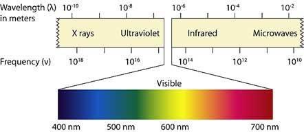 Görünür bölgedeki ışık 400-700 nanometre bitki gelişimi ve büyüme için gerekli enerjiyi sağlar. Yoğunluk, süre ve ışığın spektral dağılımı bitki tepkisini etkiler.