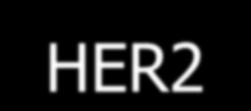 Pertuzumab HER 2