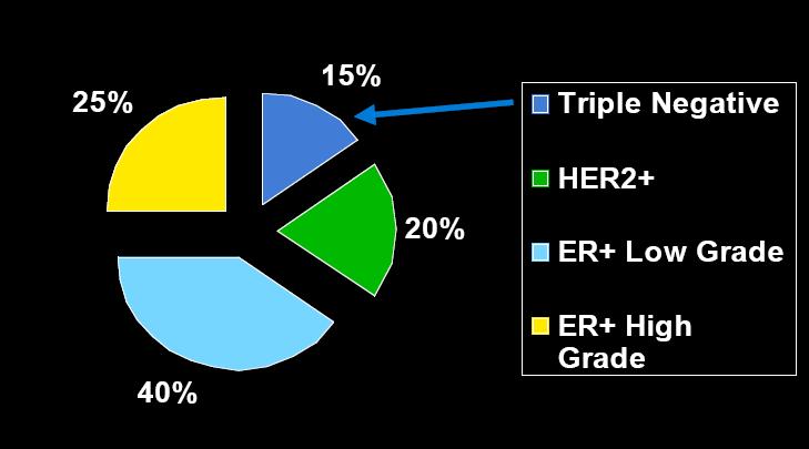 «Çalışma grubumuzda BRCA1 mutasyon varlığı ile tümör karakteristikleri arasında yapılan incelemede ER (p<0.