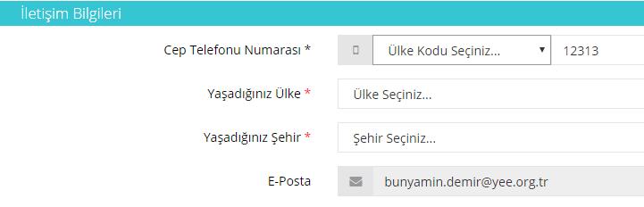 Adınızı ve soyadınızı pasaportunuzda yazıldığı şekilde yazınız. (Pasaportunuz yoksa kimlik belgenizdeki gibi yazınız.